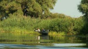 Turiști maghiari prinși la braconat în Delta Dunării: foloseau curent electric (VIDEO)