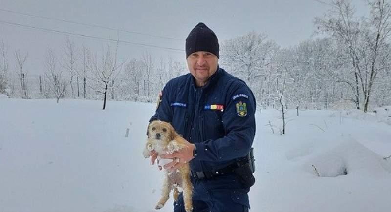 Un jandarm din Iaşi a salvat un căţelus îngropat în zăpadă: „L-am băgat în maşină să se usuce” (VIDEO)