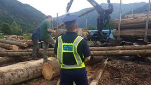 Controale la ocoalele silvice și firmele care prelucrează și comercializează material lemnos din Bistrița-Năsăud
