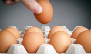 Alertă agroalimentară în Europa: ouă românești suspectate de contaminare cu insecticid, retrase din magazinele din Germania