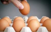Jumătate de milion de ouă retrase de pe piață. Cele mai multe erau infestate cu Salmonella
