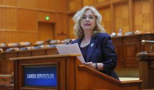 Camelia Gavrilă: Alegeri europarlamentare 2019 - semnificații, deschideri, proiecte