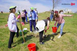 Voluntarii Antibiotice au plantat 200 de arbori