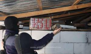 Descinderi în Botoșani. Mii de pachete cu țigări de contrabandă ascunse în canapele, ghivece cu flori sau în podul casei (VIDEO)