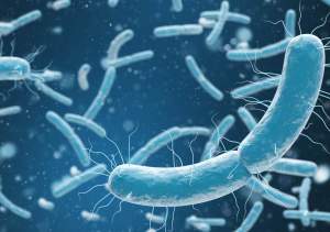 Cercetătorii israelieni au creat o bacterie care se hrăneşte doar cu dioxid de carbon