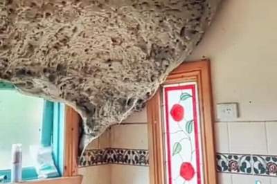 Șocul unui bărbat când a intrat în baia unei case după trei ani. Grozăvia găsită pe tavan. „E ca o navă extraterestră” (VIDEO)