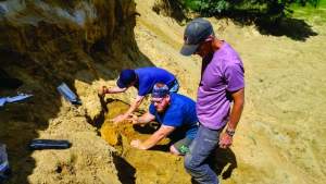 Studenții ieșeni de la Geologie au descoperit resturi fosile de rinoceri în situl fosilifer de la Pogana