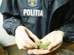 Tânăr din Vâlcea, prins în București cu un adevărat arsenal de droguri în mașină