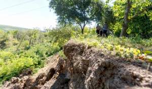 Alunecări masive de teren în Copou: expertiză de urgență pentru stabilizarea versantului