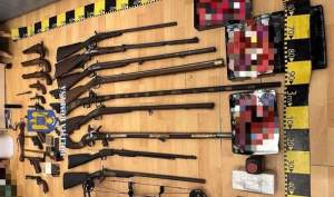 Zeci de arme, descoperite de polițiști în casa unui timișorean