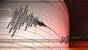 Cutremur cu magnitudinea 3,4 în județul Vrancea, luni după-amiază