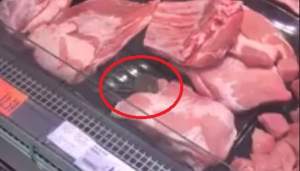 Șoarece filmat în vitrina cu carne a unui magazin Kaufland (VIDEO)