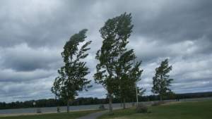 Informare meteorologică de vânt puternic în mai multe zone din țără: rafale de 90 – 110 km/h