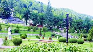 „Zona crepusculară”, la Slănic Moldova: toți arborii ornamentali și florile plantate de Primărie dispar a doua zi