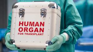 Doi medici din București, trimiși în judecată pentru aducerea ilegală din Italia a sute de cornee pentru transplant