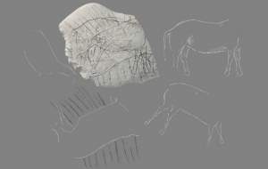 Franţa: în urmă cu 12.000 de ani un grup de vânători-culegători picta cai pe o stâncă din Angoulême