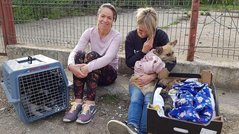 Rodica Miron și belgianca Evy conduc o afacere de sute de mii de euro sub paravanul dragostei pentru animale