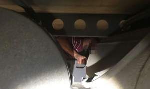 Sirian ascuns sub remorca unui automarfar cu castraveți, descoperit în Vama Nădlac
