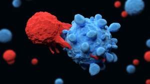 Descoperirea unor celule noi ale sistemului imunitar ar putea vindeca majoritatea tipurilor de cancer