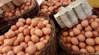 ATENȚIE! Sute de mii de ouă infestate cu salmonella, retrase de pe piață
