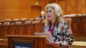 Camelia Gavrilă: Învățământul dual câștigă teren în România