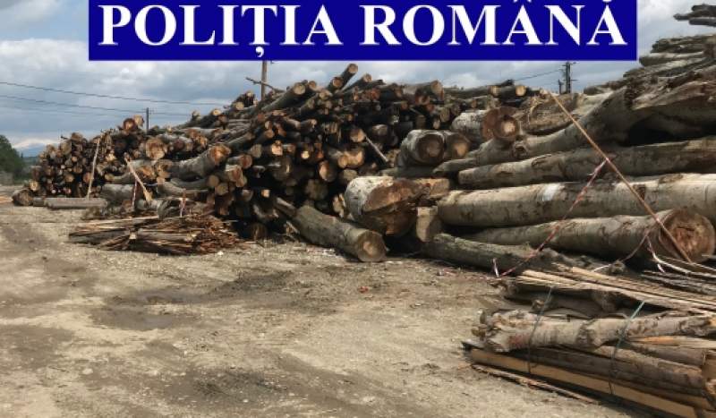 Sute de metri cubi de material lemnos, confiscate de polițiști de la o firmă din Argeș