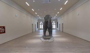 Așa arată proiectele Iașului: ca un elefant împăiat într-un muzeu gol