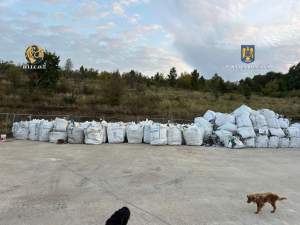Două transporturi ilegale cu deșeuri aduse din Italia, depistate în curtea unei societăți comerciale din Bihor (VIDEO)