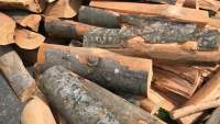 Guvernul va îngheța miercuri prețurile la lemnele de foc: Peste 3 milioane de gospodării, afectate de creșteri artificiale de preț