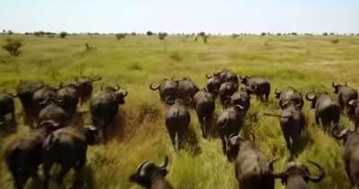 Ți se taie respirația! A Mavic Tale - Peisaje africane filmate cu drona (VIDEO)