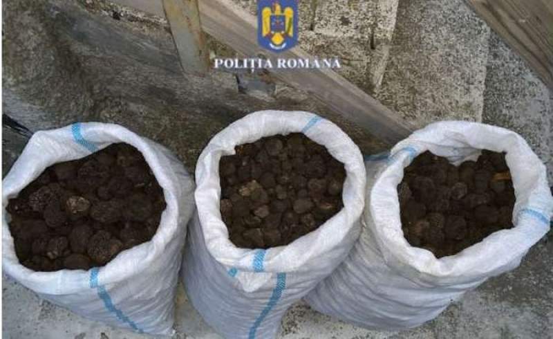 Aproape 90 kilograme de trufe negre, confiscate de polițiștii nemțeni de la un bărbat