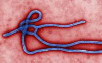 O nouă epidemie de Ebola: 800% noi cazuri în ultima săptămână