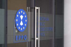 Parchetul European: Percheziții în România și Franța într-un caz de fraudă cu fonduri europene și naționale de 30 milioane de euro