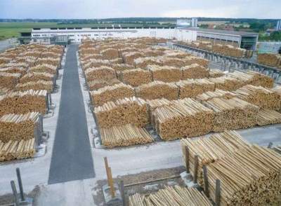 Holzindustrie Schweighofer, cel mai mare exportator de lemn din România, închide o fabrică și își reduce cu 30% operațiunile