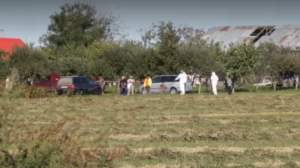 Un consilier local din Timiş a îngropat 30 de porci cu pestă pe câmp. Polițiștii au deschis dosar penal