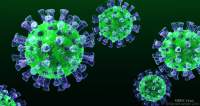 OMS: Un bărbat de 28 de ani a fost diagnosticat cu MERS, un virus potențial letal, în Emiratele Arabe Unite