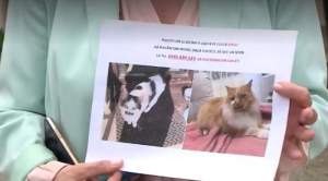 Doi soți din Iași, acuzați de vecini că sunt implicați în dispariția a cel puțin zece pisici. Copilul lor i-a dat de gol