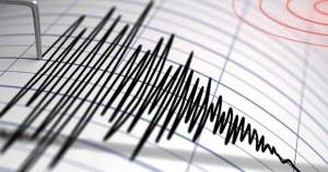 Un cutremur mediu cu magnitudinea 4,3 s-a produs vineri seara în județul Gorj