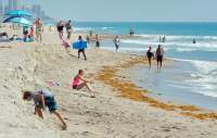 Cinci turiști au murit în Florida după ce s-au infectat pe plajă cu bacteria „mâncătoare de carne”