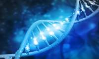 Un studiu american a descoperit 275 de milioane de variante genetice complet noi